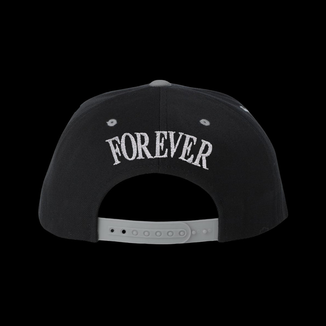 Wu York Snapback - Mehrfarbig