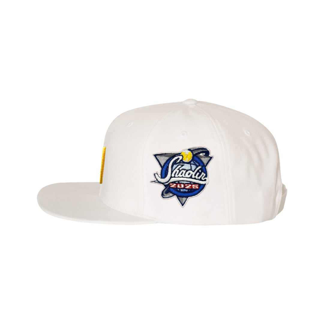 Wu York Snapback - Mehrfarbig