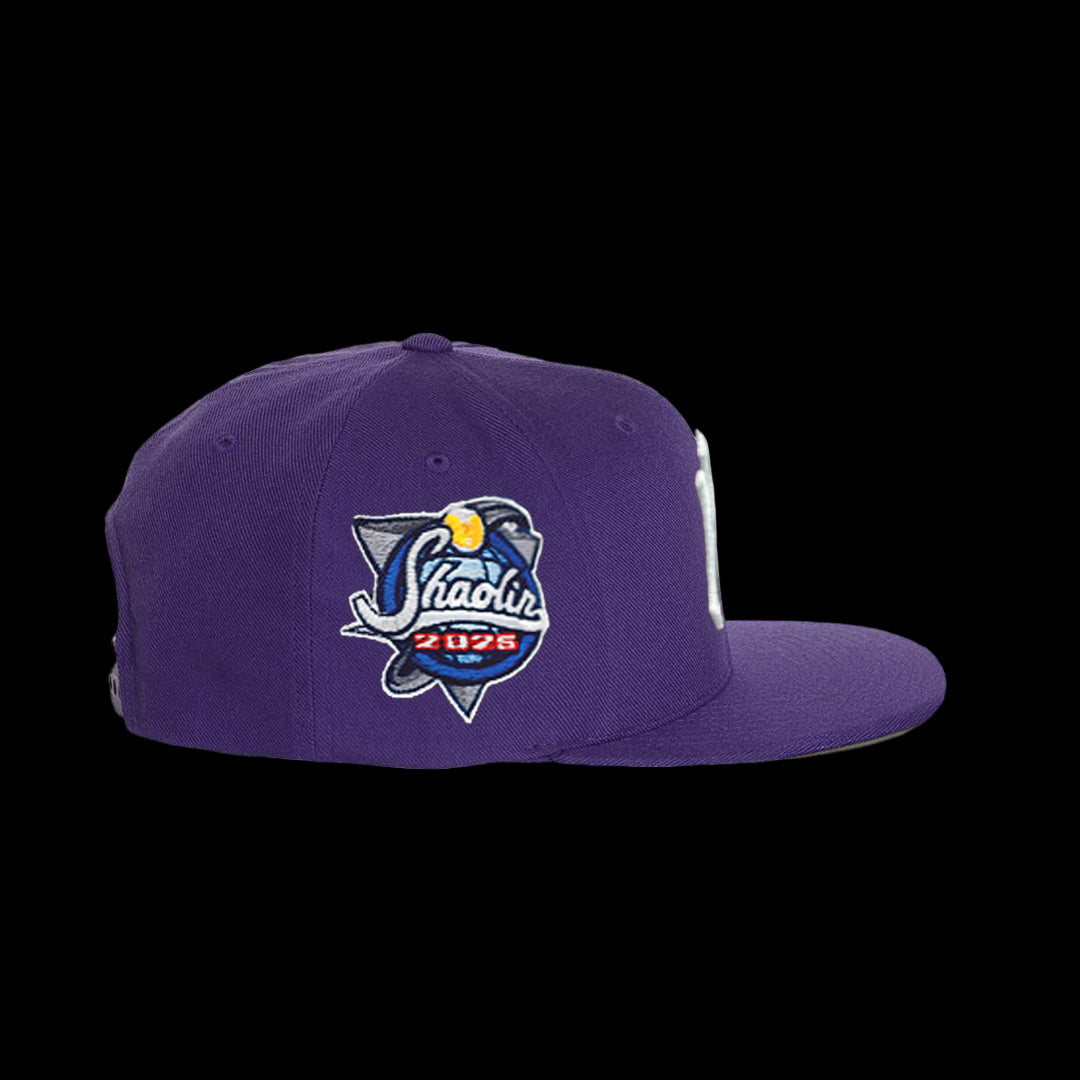 Wu York Snapback - Mehrfarbig